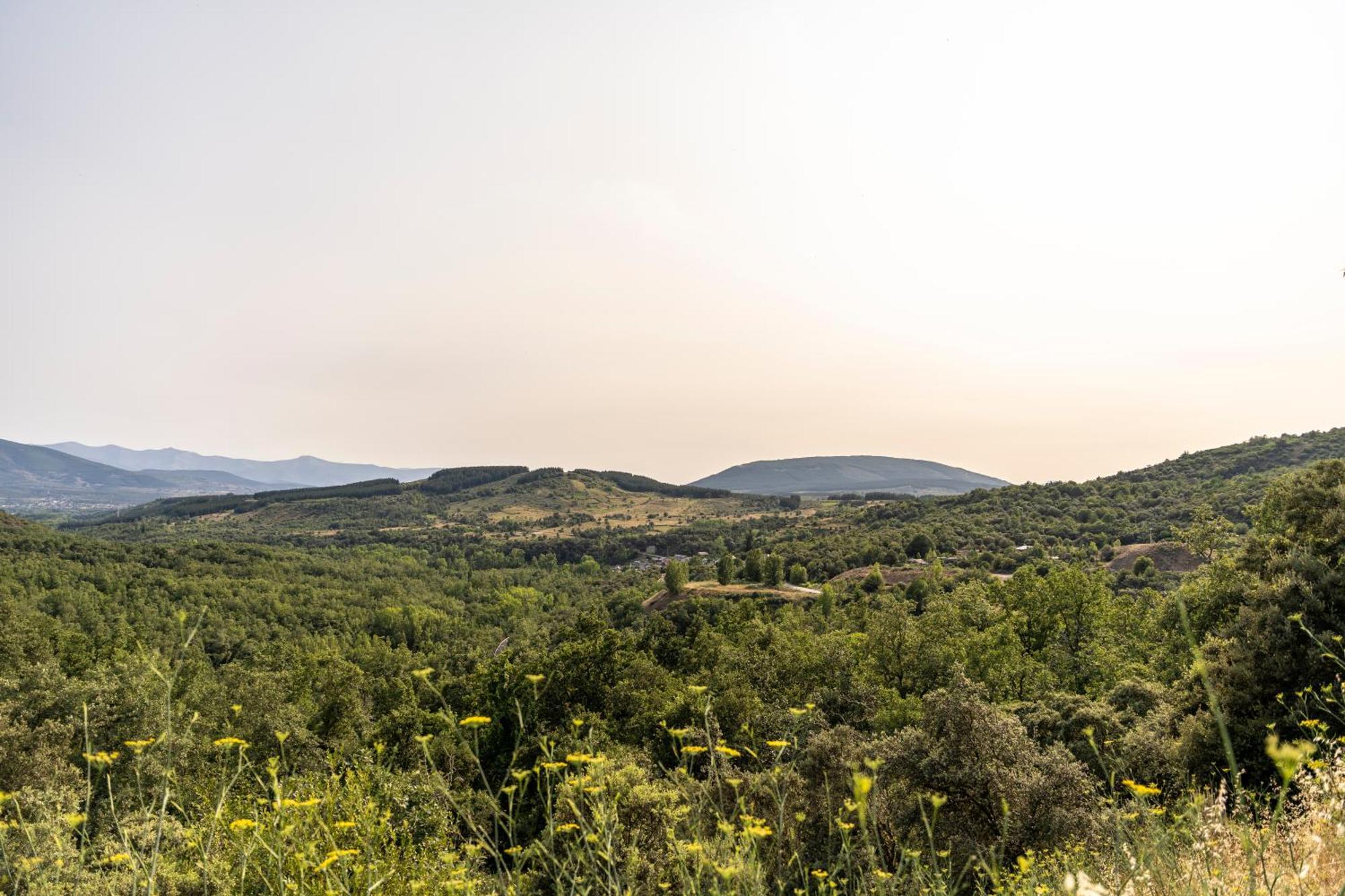 Casa De Turismo Rural Sardom3 Bembibre  Dış mekan fotoğraf